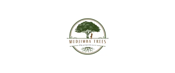 Mudjimba Trees: Built on Skill, Safety, and Turning Up Properly