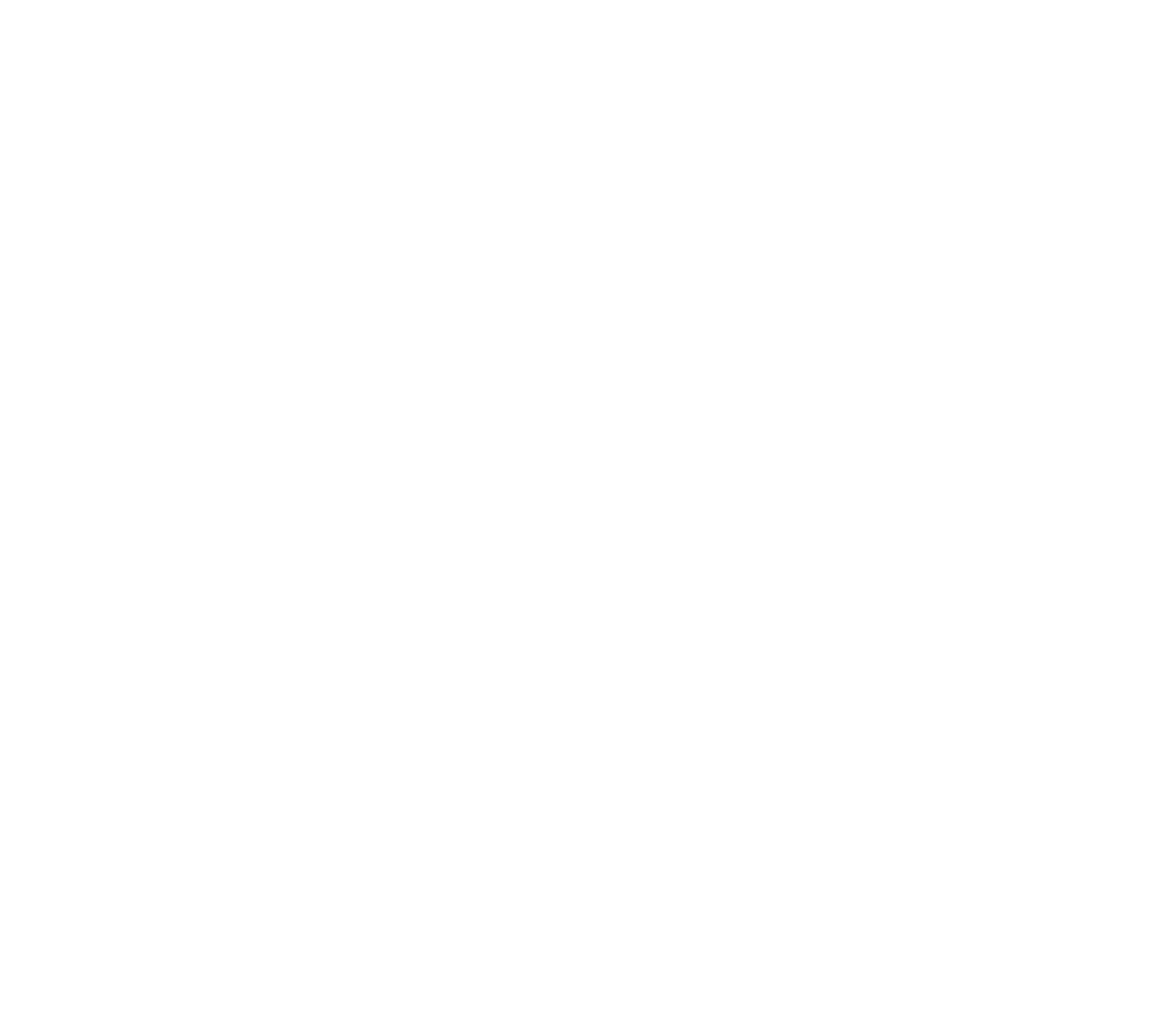 CyberGuru logo