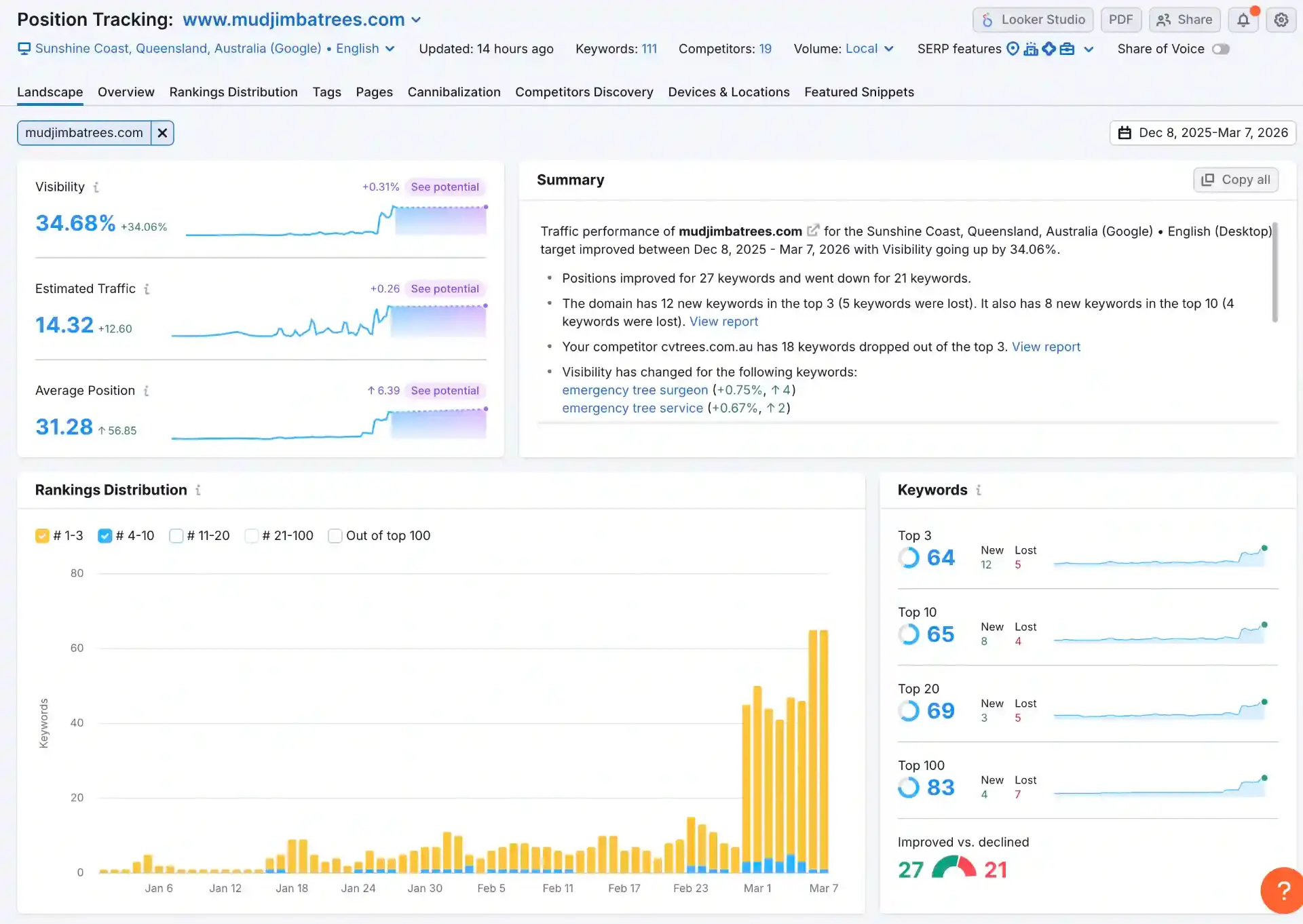 Mudjimba Trees SEO rankings and keyword performance