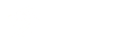 James Grafton Business Coaching logo